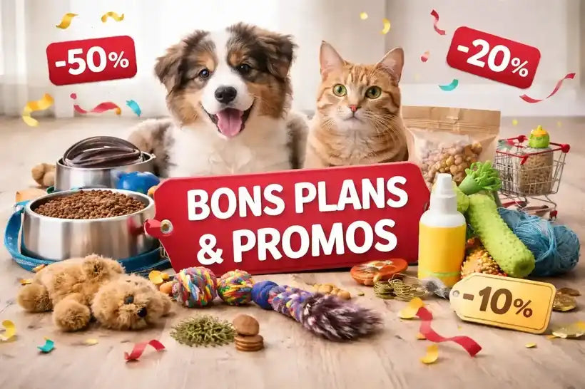 Bons plans & promotions pour chiens et chats