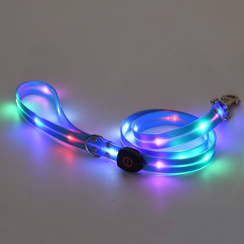 Collier lumineux LED rechargeable pour animaux de compagnie avec corde de remorquage en nylon