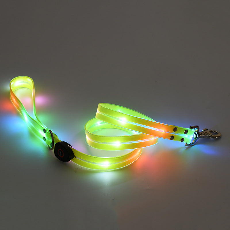 Collier lumineux LED rechargeable pour animaux de compagnie avec corde de remorquage en nylon