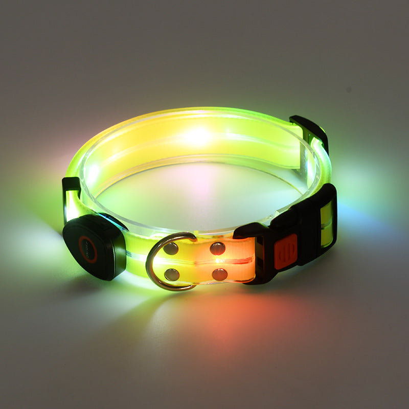 Collier lumineux LED rechargeable pour animaux de compagnie avec corde de remorquage en nylon