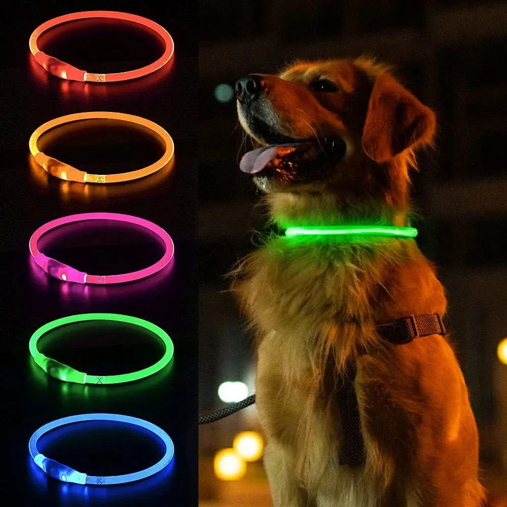 Collier LED chien – Haute visibilité, 3 modes, recharge USB