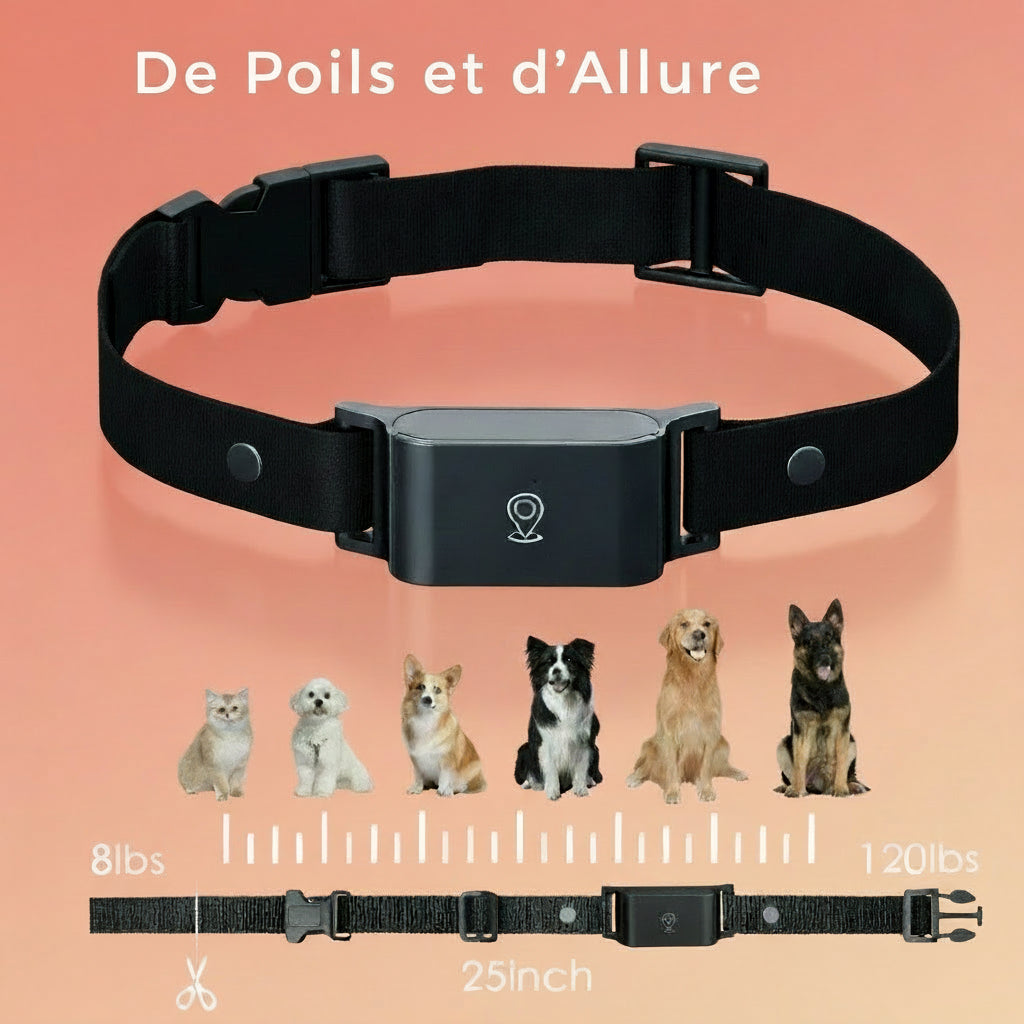 Collier connecté GPS 4G pour chiens et chats