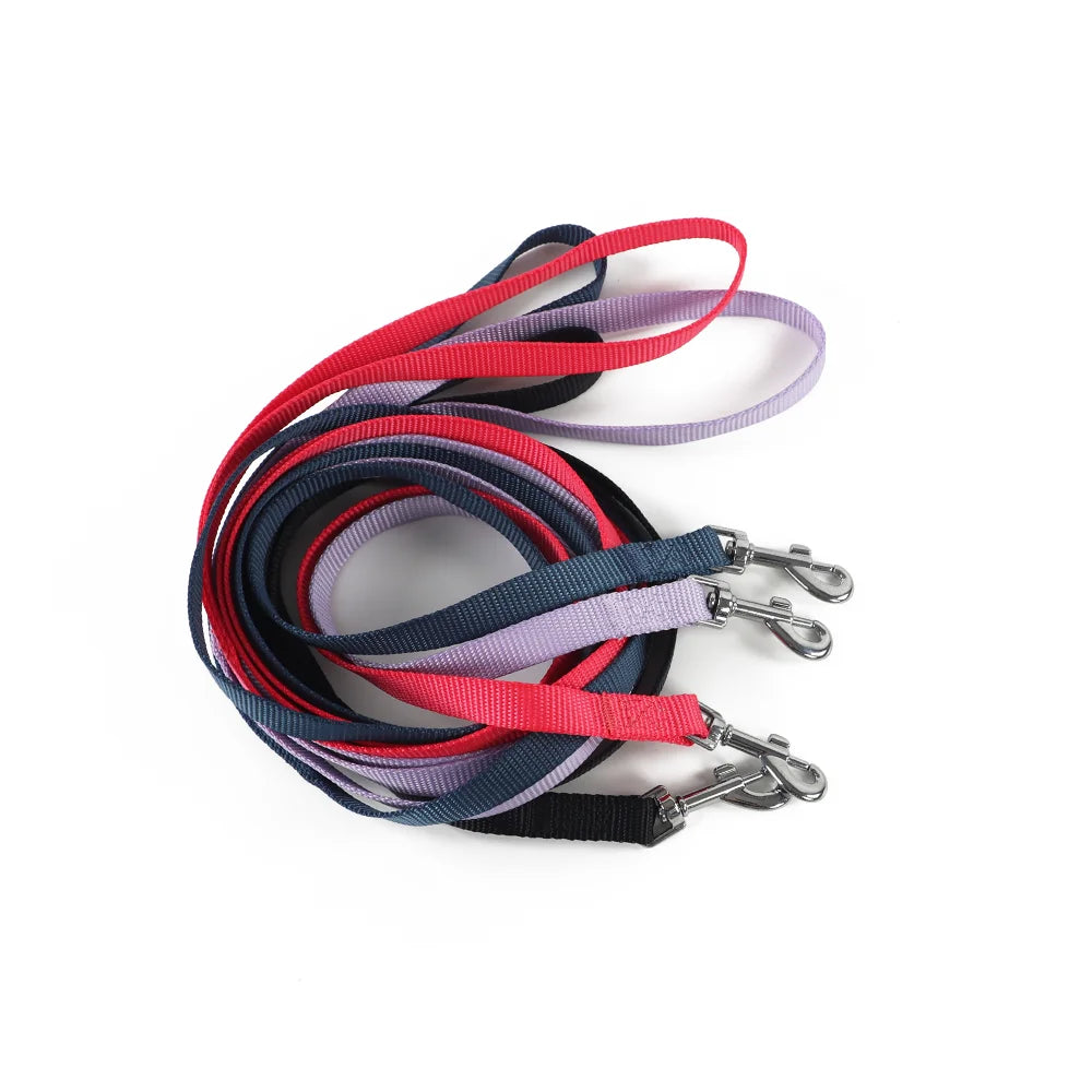 Laisse universelle pour chien, laisse en nylon facile et pratique pour petits chiens et chats