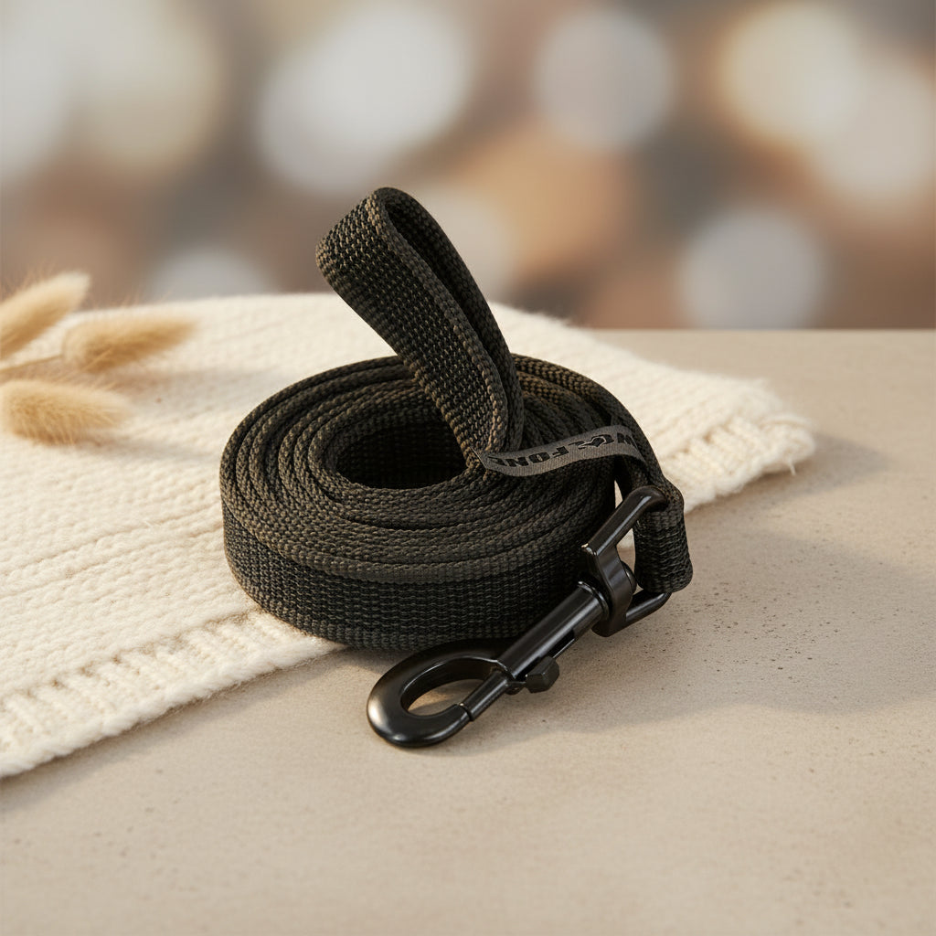 Laisse pour chien moyen/petit/long de 1,5 m, 5 m, 10 m ou 15 m.