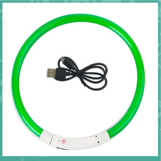 Collier LED chien – Haute visibilité, 3 modes, recharge USB