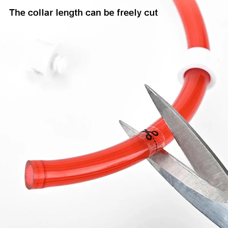 Collier LED chien – Haute visibilité, 3 modes, recharge USB