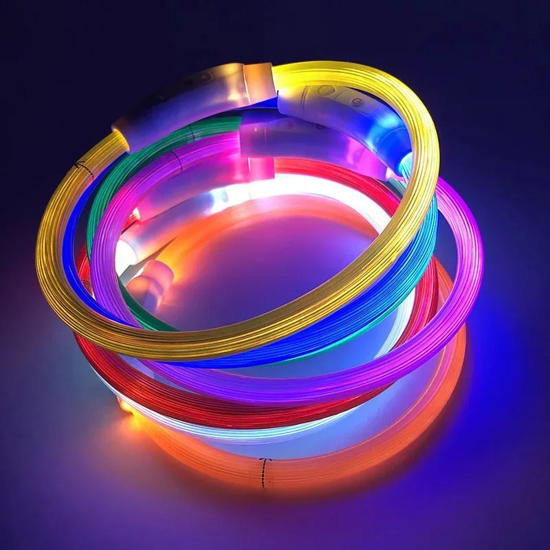 Collier LED chien – Haute visibilité, 3 modes, recharge USB