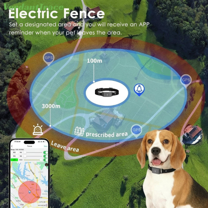 Collier connecté GPS 4G pour chiens et chats