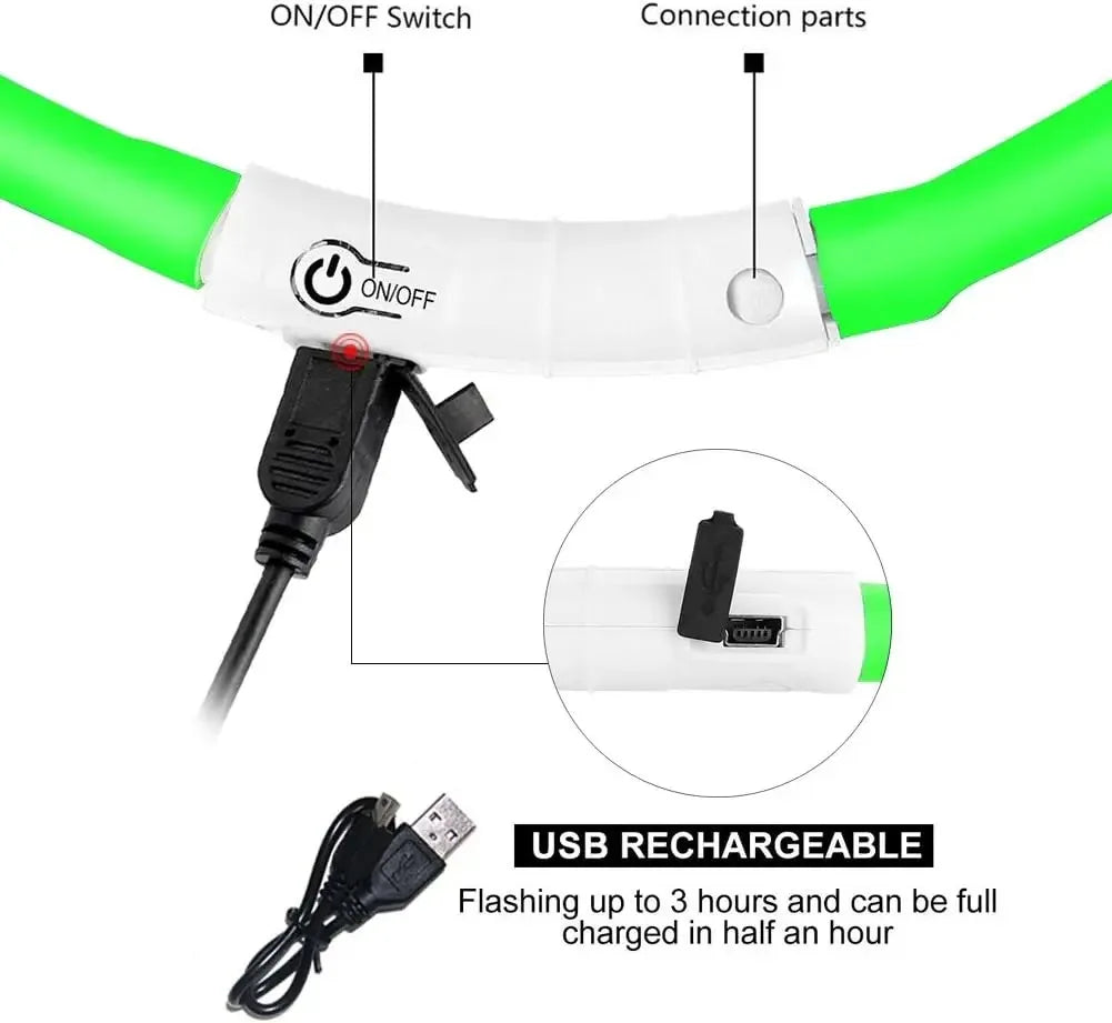 Collier LED chien – Haute visibilité, 3 modes, recharge USB