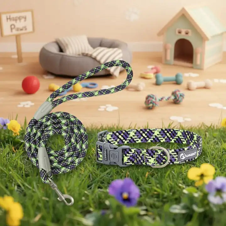 Collier et laisse multicolores pour chien – vert-bleu, accessoires confortables et tendance pour animaux de compagnie