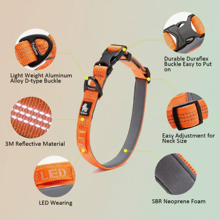 Collier multicolore ajustable pour chien – design moderne et confortable, accessoire tendance pour animaux de compagnie