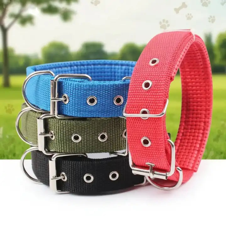 Collier et laisse multicolores pour chien – bleu-rouge-vert-noir, accessoires confortables et tendance pour animaux de compagnie