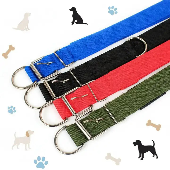 Collier et laisse multicolores pour chien – bleu-rouge-vert-noir, accessoires confortables et tendance pour animaux de compagnie