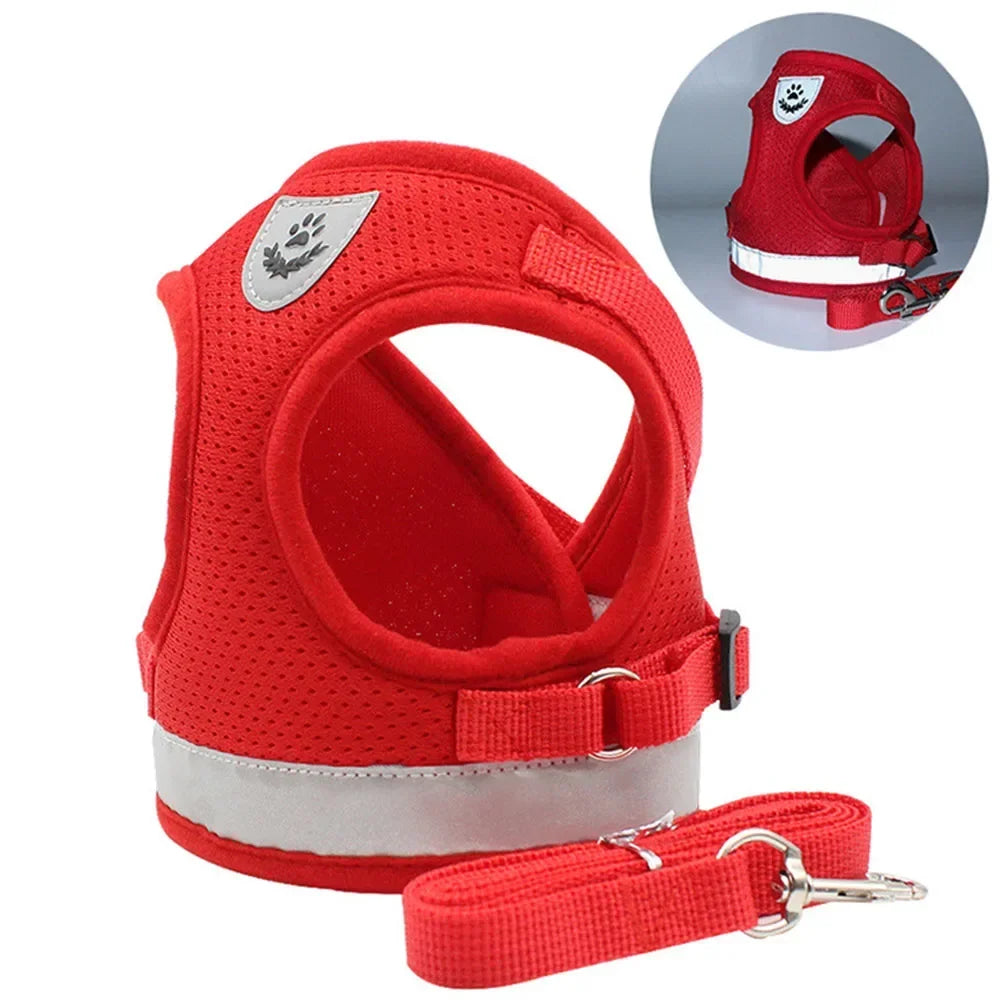 Harnais de sécurité pour chien – accessoire mode pratique avec laisse assortie