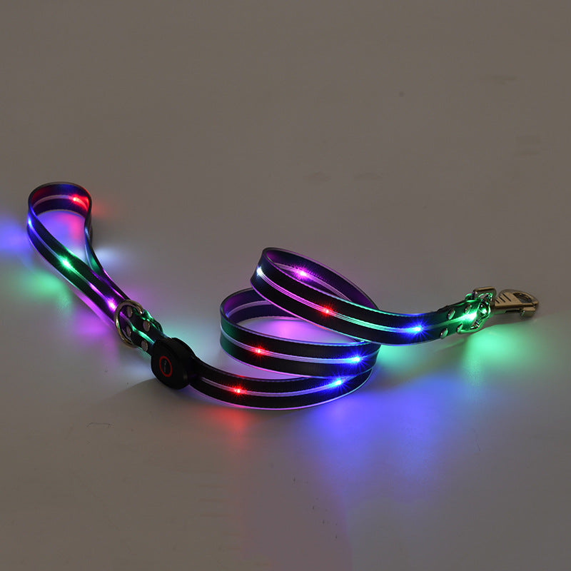Collier lumineux LED rechargeable pour animaux de compagnie avec corde de remorquage en nylon