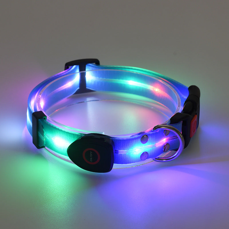 Collier lumineux LED rechargeable pour animaux de compagnie avec corde de remorquage en nylon