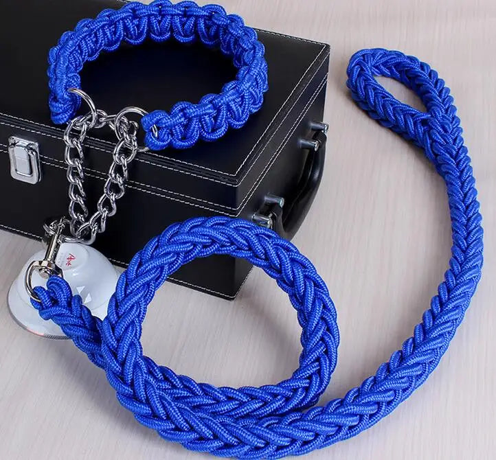 Laisse et collier bleu multicolore pour chien – design moderne et tendance, accessoire confortable