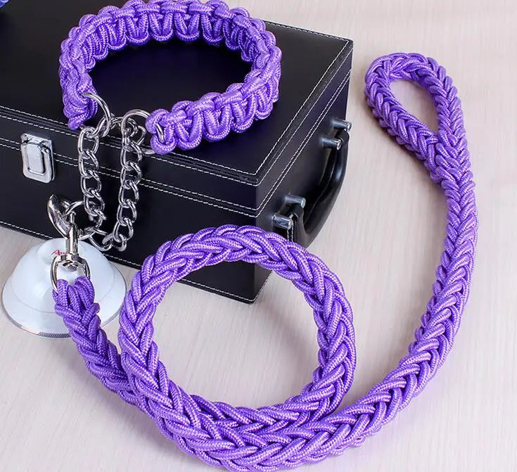 Laisse et collier mauve multicolore pour chien – design moderne et tendance, accessoire confortable