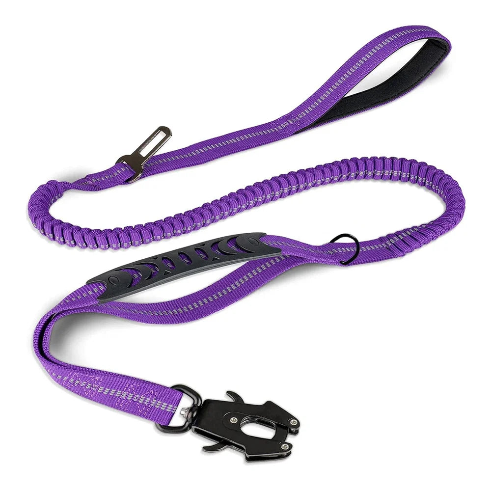 Laisse et collier mauve multicolore pour chien – design moderne et tendance, accessoire confortable