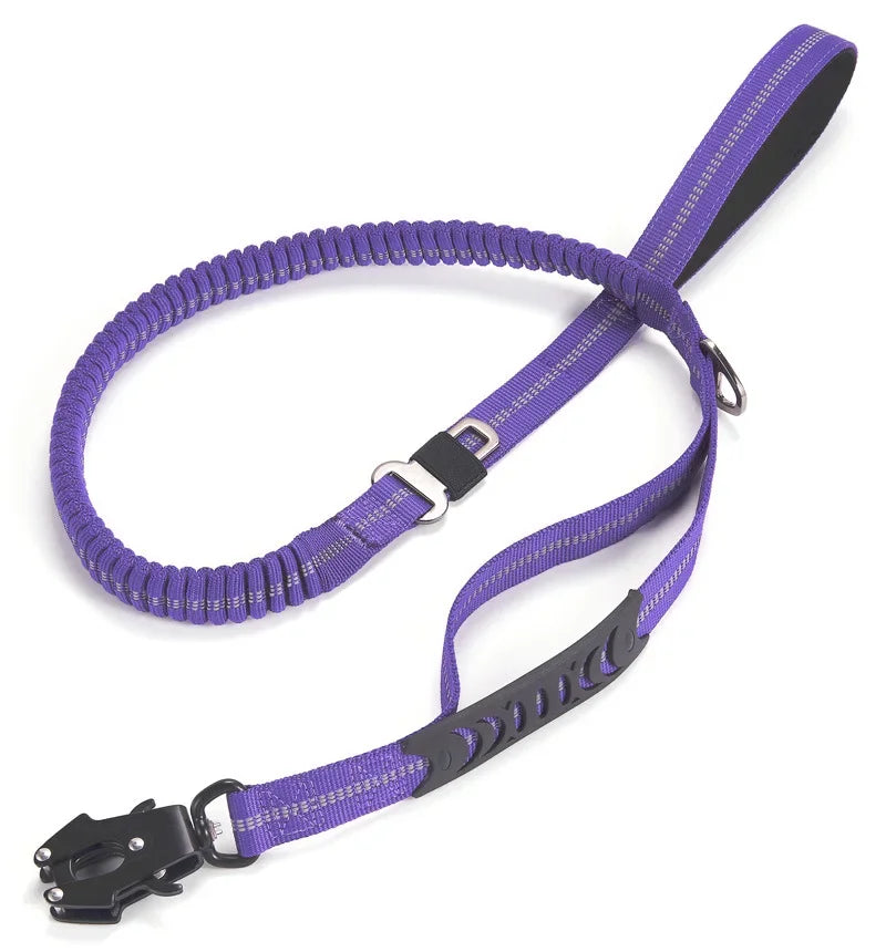 Laisse et collier mauve multicolore pour chien – design moderne et tendance, accessoire confortable