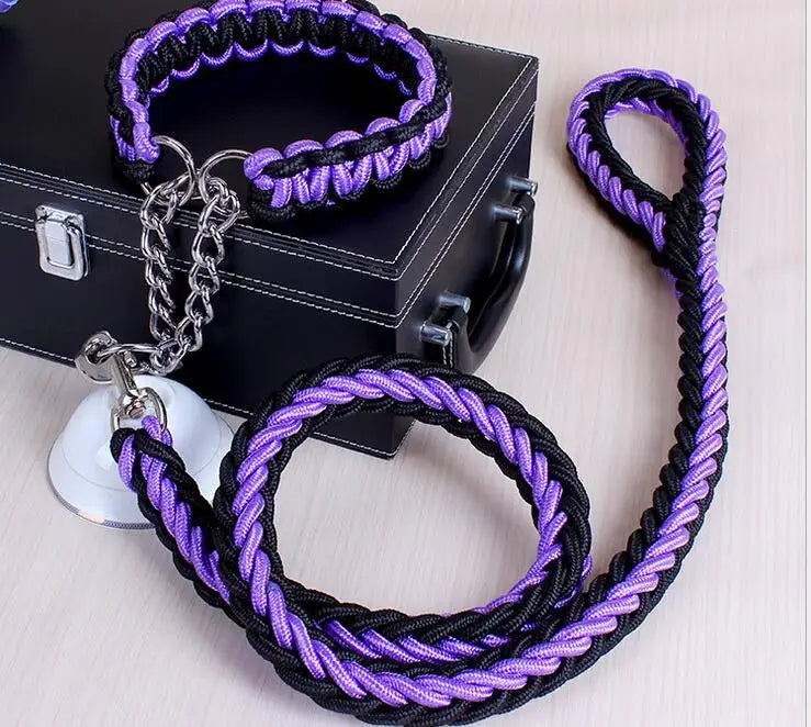 Laisse et collier mauve et noir multicolore pour chien – design moderne et tendance, accessoire confortable