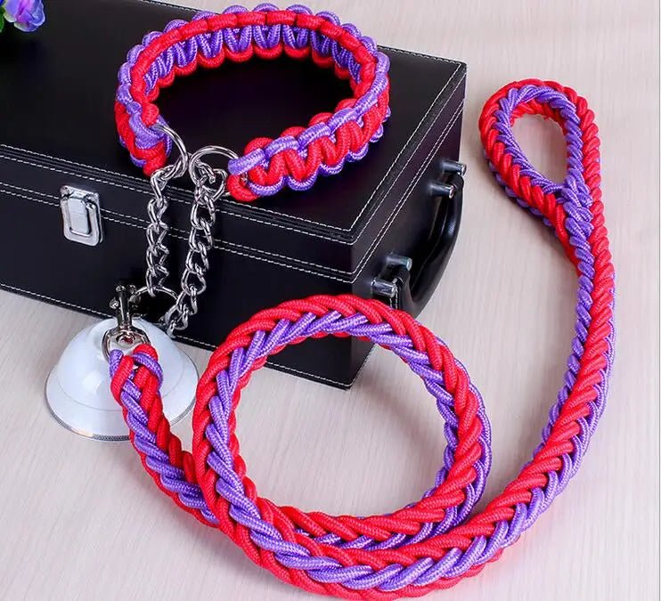 Laisse et collier rouge et mauve multicolore pour chien – design moderne et tendance, accessoire confortable
