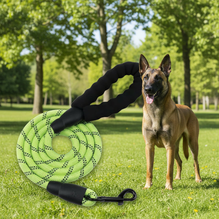 Collier de sécurité vert pour chien – accessoire tendance et confortable, idéal pour promenade et protection
