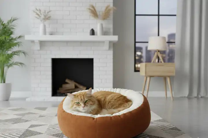 Le Nid d'Amour : Panier Douillet et Tendance pour Chats ou chiens Royaux