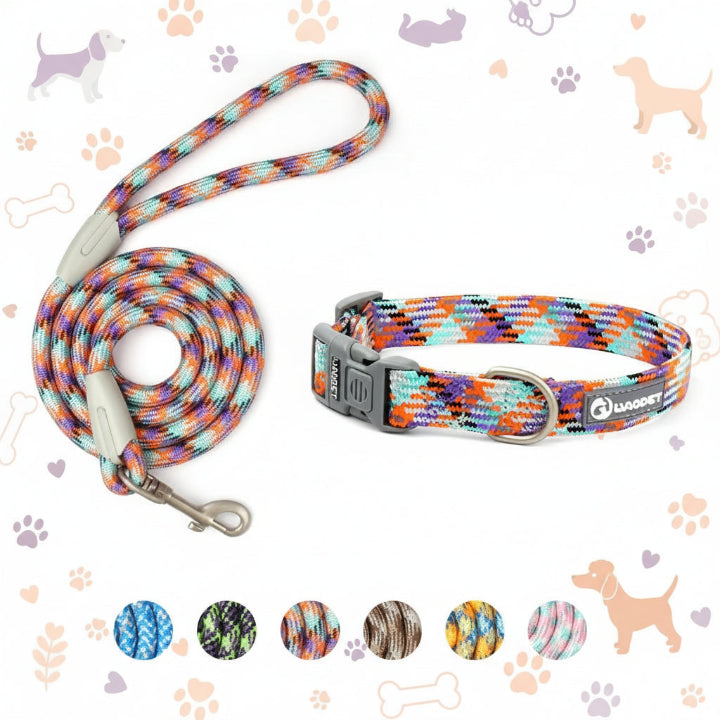 Collier multicolore ajustable pour chien – design moderne et confortable, accessoire tendance pour animaux de compagnie