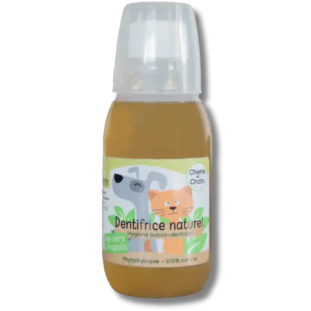 Dentifrice naturel pour chiens et chats – soin bucco-dentaire efficace et sans produits chimiques
